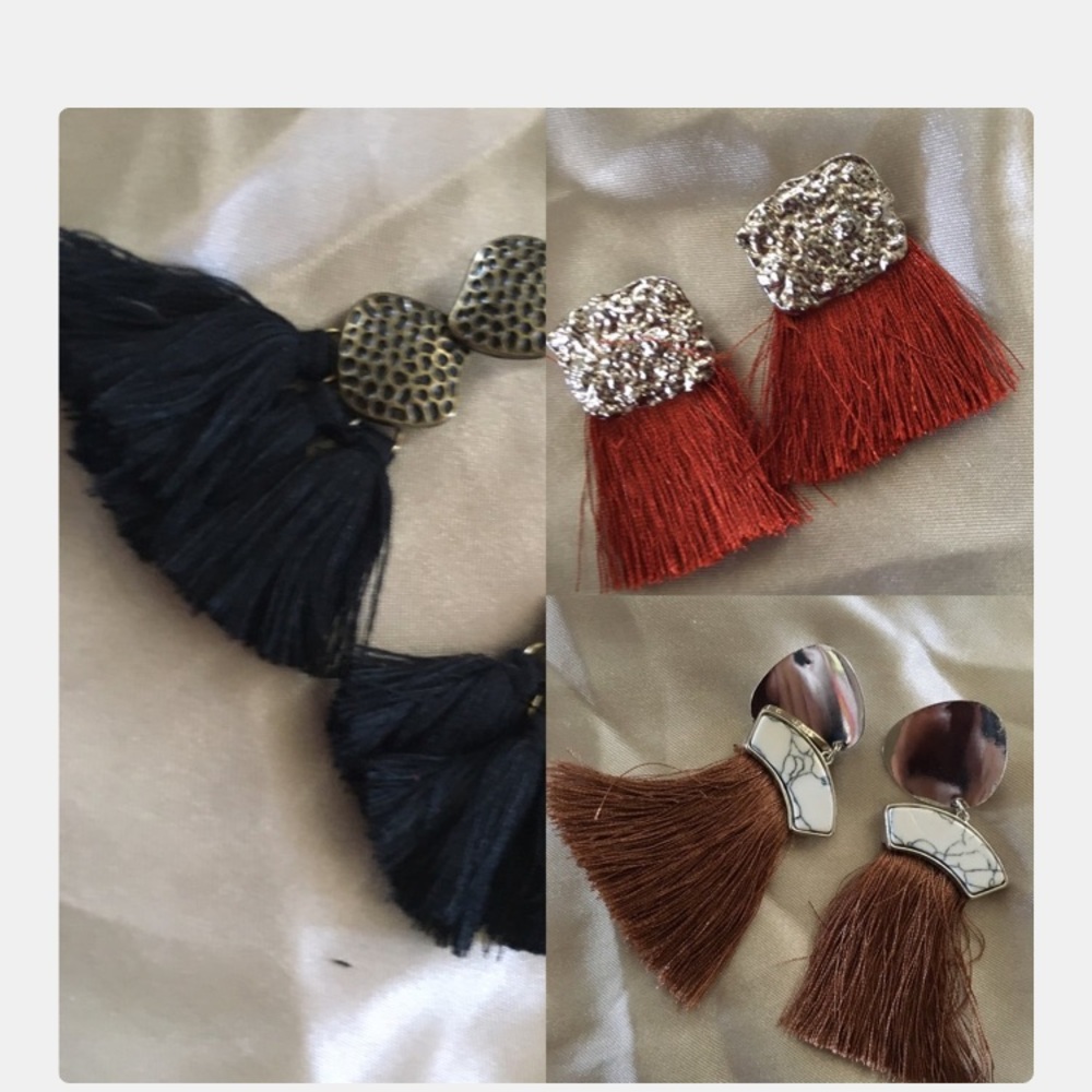 Tassel Earrings 💗